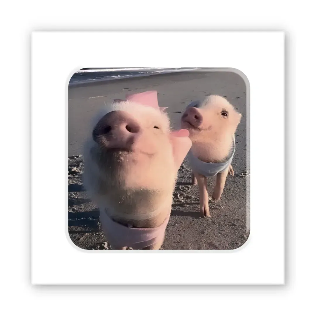 3D-стикер Piggy selfie Унисекс Україна SX-271
